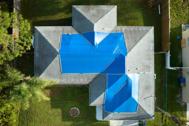 Best Roof Insulation Installation  in Long Beach, IN