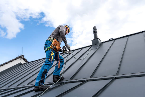 Best Metal Roofing Installation  in Long Beach, IN
